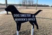 dog warden contact number