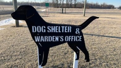 dog warden contact number