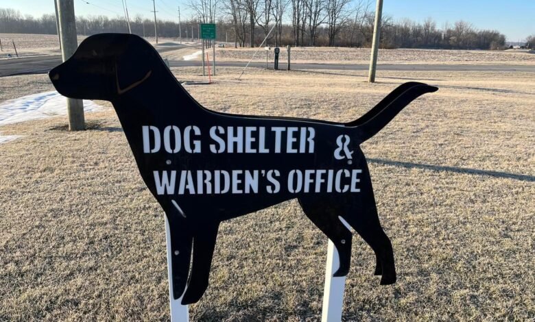 dog warden contact number