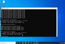 pingtest