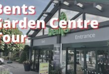 bents garden centre