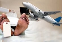 cost of transporting a dead body uk